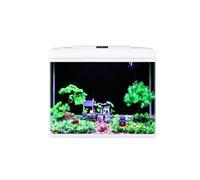 Kit D'aquarium Rectangulaire En Verre De Petite Taille, Aquarium De Bureau Avec Éclairage LED Multicolore, Pompe-filtre Silencieuse 3-en-1 Et Kit Complet De Décoration Paysagère(50x30x47cm)
