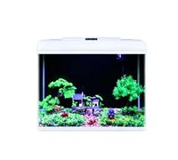 Kit D'aquarium Rectangulaire En Verre De Petite Taille, Aquarium De Bureau Avec Éclairage LED Multicolore, Pompe-filtre Silencieuse 3-en-1 Et Kit Complet De Décoration Paysagère(61x36x54cm)