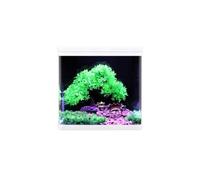 Kit D'aquarium Rectangulaire En Verre De Petite Taille, Aquarium De Bureau Avec Éclairage LED Multicolore, Pompe-filtre Silencieuse 3-en-1 Et Kit Complet De Décoration Paysagère(23.7x18x27cm)