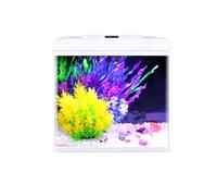 Kit D'aquarium Rectangulaire En Verre Pour Bureau, Éclairage LED À Couleur Réglable, Pompe-filtre Silencieuse 3-en-1 Et Accessoires De Décoration Inclus (idéal Pour Chambre Ou Bureau)(31.7x21x35cm)