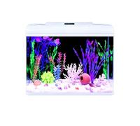 Kit D'aquarium Rectangulaire En Verre Pour Bureau, Éclairage LED À Couleur Réglable, Pompe-filtre Silencieuse 3-en-1 Et Accessoires De Décoration Inclus (idéal Pour Chambre Ou Bureau)(50x30x47cm)