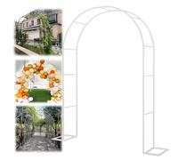 Kit d'arche de jardin, tonnelle de jardin en fer pour plantes grimpantes et fleurs, arche décorative pour intérieur/extérieur, terrasse, parterres de fleurs, pelouse (couleur : blanc)
