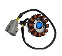 Kit d'assemblage de bobine de Stator Compatible avec générateur de magnéto de Motocross, Compatible avec moteur NC250 NC450 250CC 450CC KAYO T6