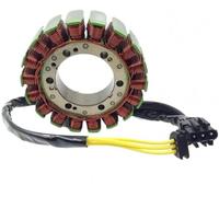 Kit d'assemblage de Bobine de stator de générateur 12318524422 Compatible avec Les modèles de Moto F650GS 2009 2014 F700GS F800R F800S F800GS F800ST F800GT Compatible avec numéro de pièce 12318524422