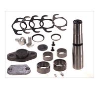 Kit d'assemblage, pivot de fusée d'essieu C.E.I 230059 gauche