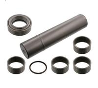 Kit d'assemblage, pivot de fusée d'essieu FEBI 15903 pour ATEGO 6.374 1998-2004