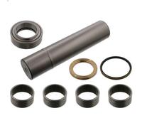 Kit d'assemblage, pivot de fusée d'essieu FEBI 15906 pour ATEGO 6.374 1998-2004