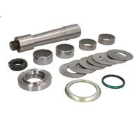 Kit d'assemblage, pivot de fusée d'essieu LEMA 408 pour DAF CF 6.69 2015-