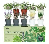 Kit de 10 herbes aromatiques d'intérieur, 33 pièces comprenant des pots de 4 couleurs, de la terre et des outils, une idée cadeau unique pour les amateurs de plantes, les femmes, les hommes, les