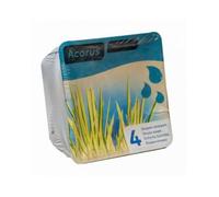 Kit de 2 plantes aquatiques - bassin et fontaine - Iris jaune