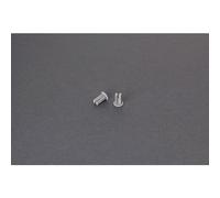 Kit de 2 Rivets de Pied pour Store F45S 150-450 & F45L 450-550 Fiamma Réf :98655-050