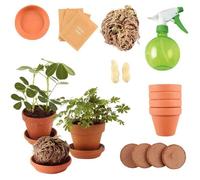 Kit de 5 plantes extraordinaires