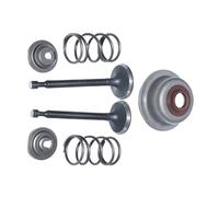 Kit de 6 ressorts de siège de soupape compatibles avec les groupes électrogènes GX160, GX200 et 168F (5,5 CV, 6,5 CV, 2 kW-3 kW).