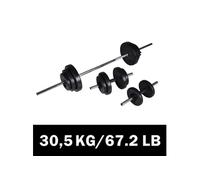 Kit de barre d haltère et 2 haltères 30,5 kg
