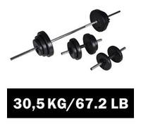 vidaXL Haltères 90377 2 x 30,5 kg Musculation Fitness Noir