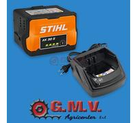 Kit De Batterie AK30S Et Chargeur AL101 ORIGINALE STIHL STARTER SET AK30S