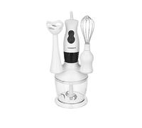 KIT DE BATTEUR À IMMERSION SUR SOCLE W 300 AVEC ACCESSOIRES