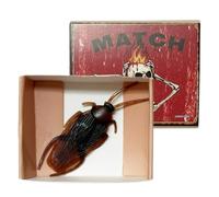 Kit de blagues, Serpent réaliste amusant pour fêtes - Objets pour blagues et astuces, pour Noël, anniversaire, jour d'innocent, bureau, fête, frayeur, maison, salle de jeux, activité scolaire