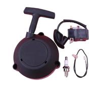 Kit de Bobine d'allumage for démarreur à Rappel for BR600 BR550 BR500, référence: 42821900303, pièces de Moteur de Tondeuse à Gazon