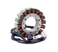 Kit de Bobine de stator de générateur de Moto for HDX TRV TBX TRV VLX XR 500 550 700 1000 0802-065