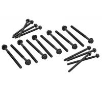 Kit de boulons de culasse Héxagonal extérieur 733.100 ELRING pour PEUGEOT FORD