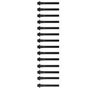 Kit de boulons de culasse Torx extérieur 14-32109-03 VICTOR REINZ