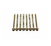 Kit De Boulons De Tête Elring Pour VW Audi Seat Skoda EL445890
