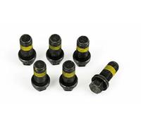 LuK 411 0234 10 Visserie, volant moteur