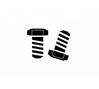 LuK Visserie volant moteur 411 0247 10