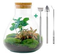 Kit de bricolage Jardin de bouteilles - Sammie Coffea - 26 cm de haut avec râteau, pelle & pince pour créer