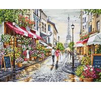Kit de broderie au point de croix compté Luca-S « Fleuriste parisien », 48 x 35