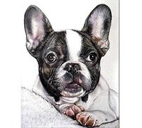 Kit de Broderie au Point de Croix Crème de Bouledogue français 16x20 Pouces DIY pour Adulte Salon Chambre débutant 11CT pré-imprimé Kit Canevas Complet décoration