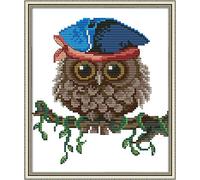 Kit de broderie au point de croix estampillé à faire soi-même, gamme complète de kits de dé marrage pour débutants pré-imprimés -Hibou à chapeau 24 x 28 cm