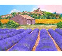 Kit de Broderie au point de croix Paysage de Provence lavande pourpre 16x20 pouces DIY Pour adulte salon chambre débutant 11CT pré-imprimé Kit Canevas Complet décoration