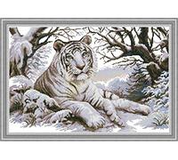 Kit de broderie au point de croix pour adultes et enfants pré-imprimés ou non, ABEUTY DIY 35,6 x 20,1 x 14,5 cm, kit de broderie estampillé ou non estampillé pour décoration d'intérieur