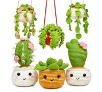 Kit de broderie pour plantes au crochet pour débutant, 25,5 x 20 x 7 cm, adorable équipement de couture d'herbes multicolores, pour apprendre à crocheter, ustensiles de tatouage pour jardin