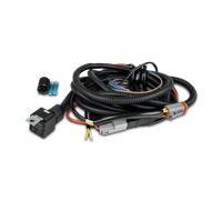 Kit de Câble Strands Siberia Pro 1x DT-Connector Or