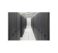 Kit de câbles OCP - Hewlett Packard Enterprise - ProLiant DL20 Gen11 - 2LFF/4SFF - Gris