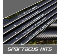 Kit de canne Cresta Carp XS Power Top 2 Ghost - noir - 2,5 m