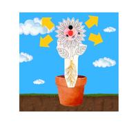 Kit de capteur d'humidité du sol STEM pour débutants - Indicateur d'eau de plante lumineux à LED - Transistor et circuit d'apprentissage de résistance - Kit électronique éducatif