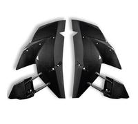 Kit De Carénage Latéral De Carrosserie De Moto en Fibre De Carbone pour pour Ninja H2/R H2R 2015-2024 pièces de décoration