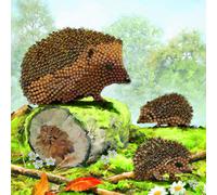 Kit de cartes de peinture au diamant Crystal Art - Happy Hedgehogs - Créez votre O