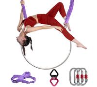 Kit de cerceau aérien de lyre de qualité supérieure - Résistance complète - Testée - 200 kg - 500 kg - Pour danse aérienne - Anneau d'air 2 points, 95