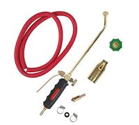 Kit de Chalumeau au, Brûleur de Gaz avec Tuyau, Brûleur de Toiture, Chalumeau pour la Cuisson et la Décongélation, Barbecue, Fonte de Neige