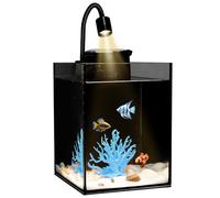 Kit de chef-d'œuvre d'aquarium à faire soi-même - Créez votre propre paysage aquatique unique avec des coquillages naturels, des coraux vibrants, des lumières de couleur RVB, un filtre, une pompe et