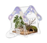 Kit de clôture pour araignées sautantes en forme de champignons, réservoir d'habitat en acrylique de 3 mm avec porte d'alimentation magnétique et serrure, assemblage sans outil pour araignées, mantes