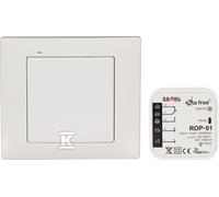 Kit de commande sans fil RNK02+ROP01 RZB-01 EXF10000069