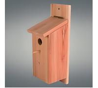 Kit de construction d'un nid en bois - DIY - Mésanges - Bois non traité - Dimensions 12x36x15 cm - Pour enfants