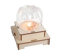 Kit de construction éducatif en bois avec disjoncteur LED et instructions pour enfants et étudiants