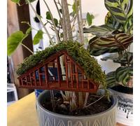 Kit de construction miniature en bois 3D pour plantes d'intérieur - Mini cabane d'arbre - Kit de construction en bois - Pot de fleurs - Décoration de chambre (2)
